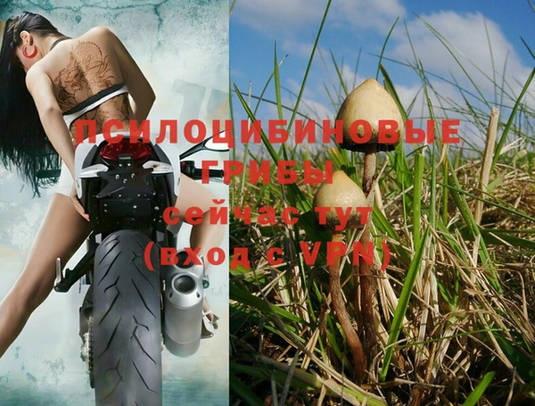 мяу мяу кристалл Ладушкин